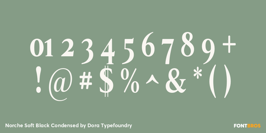 Norche Soft Black Condensed Font Poster #4