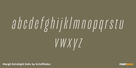Margit Extralight Italic Thumbnail #3