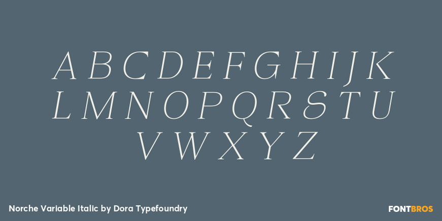 Norche Variable Italic Font Poster #2