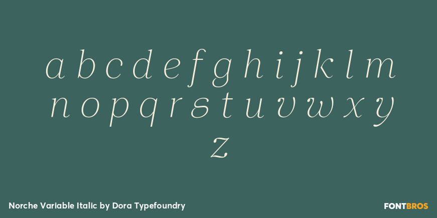 Norche Variable Italic Font Poster #3