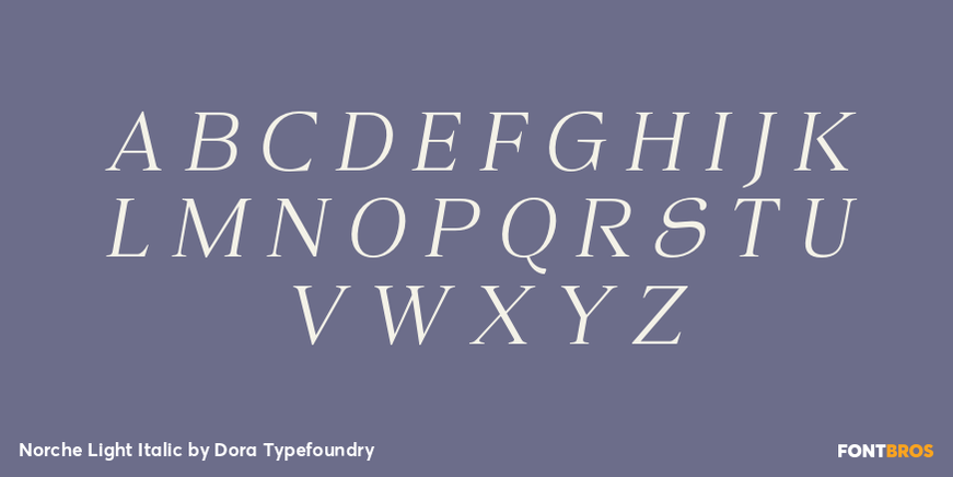 Norche Light Italic Font Poster #2