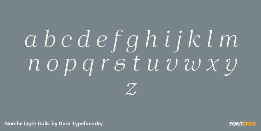 Norche Light Italic Font Poster #3