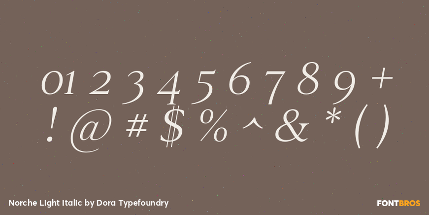 Norche Light Italic Font Poster #4