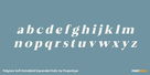 Felgiora Soft ExtraBold Expanded Italic Thumbnail #3