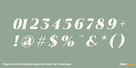 Felgiora Soft ExtraBold Expanded Italic Thumbnail #4