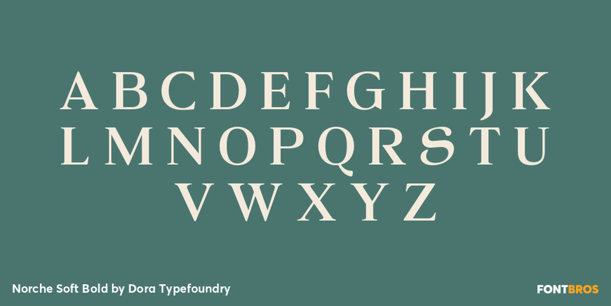 Norche Soft Bold Font Poster #2