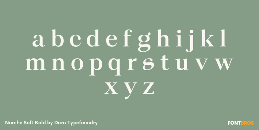 Norche Soft Bold Font Poster #3