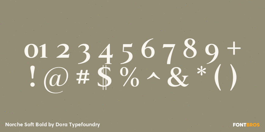Norche Soft Bold Font Poster #4