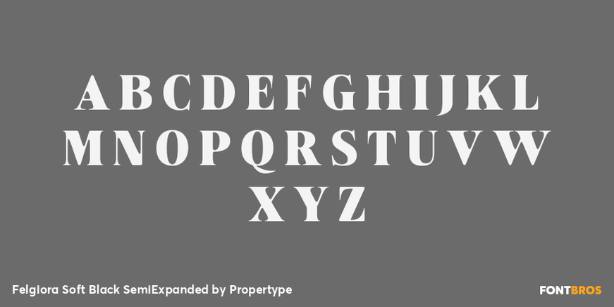 Felgiora Soft Black Semi Expanded Font Poster #2