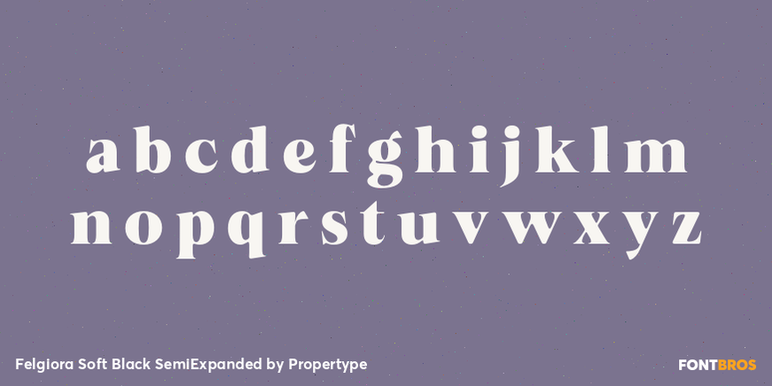 Felgiora Soft Black Semi Expanded Font Poster #3