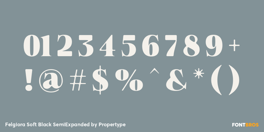 Felgiora Soft Black Semi Expanded Font Poster #4