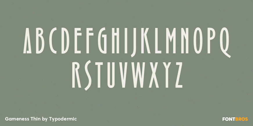 Gameness Thin Font Poster #2