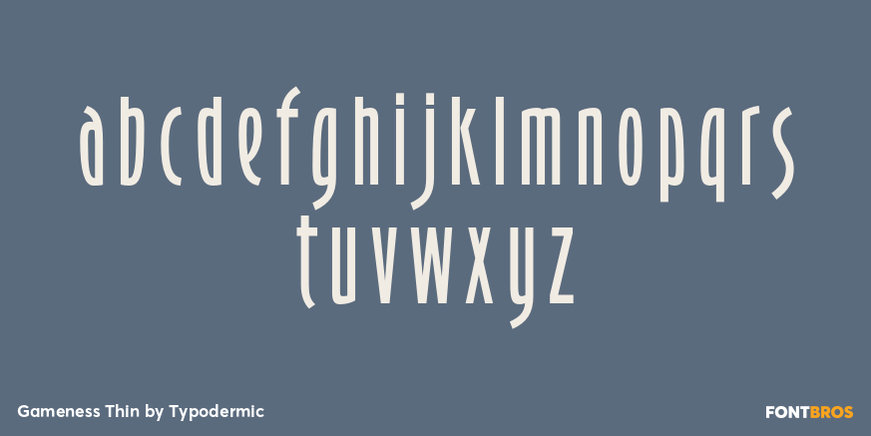 Gameness Thin Font Poster #3