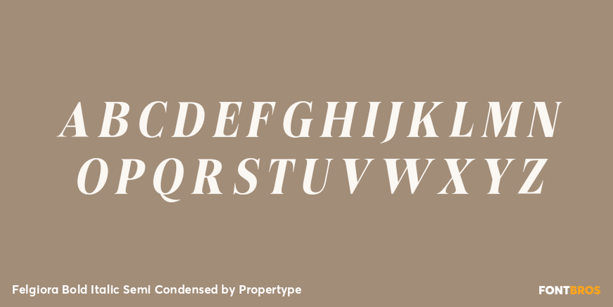 Felgiora Bold Italic Semi Condensed Font Poster #2