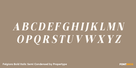 Felgiora Bold Italic Semi Condensed Thumbnail #2