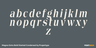 Magres Extra Bold Slanted Condensed Thumbnail #3