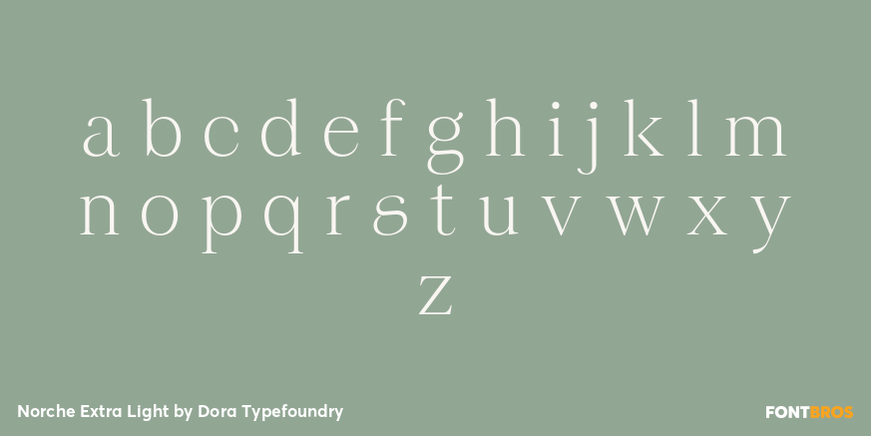 Norche Extra Light Font Poster #3