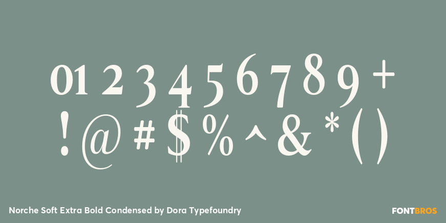 Norche Soft Extra Bold Condensed Font Poster #4