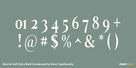 Norche Soft Extra Bold Condensed Thumbnail #4