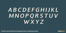 Chatwin Semi Bold Semi Expanded Italic Thumbnail #2