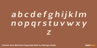 Chatwin Semi Bold Semi Expanded Italic Thumbnail #3