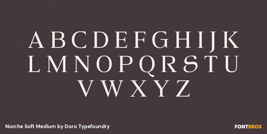 Norche Soft Medium Font Poster #2