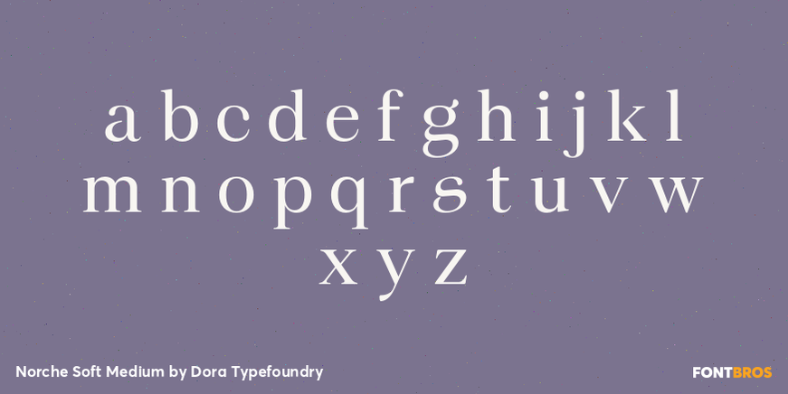 Norche Soft Medium Font Poster #3