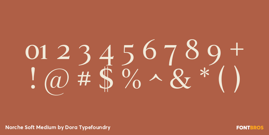 Norche Soft Medium Font Poster #4