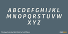 Plantago Extended Bold Italic Thumbnail #2