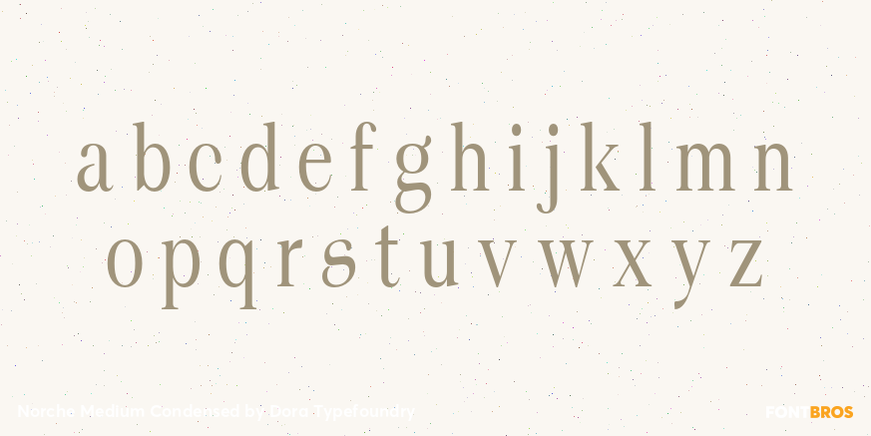 Norche Medium Condensed Font Poster #3