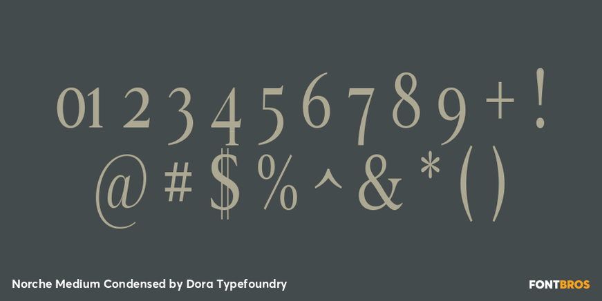 Norche Medium Condensed Font Poster #4