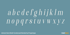 Artrend Semi Bold Condensed Slanted Thumbnail #3