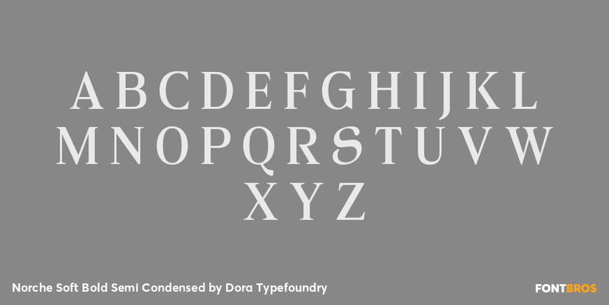 Norche Soft Bold Semi Condensed Font Poster #2