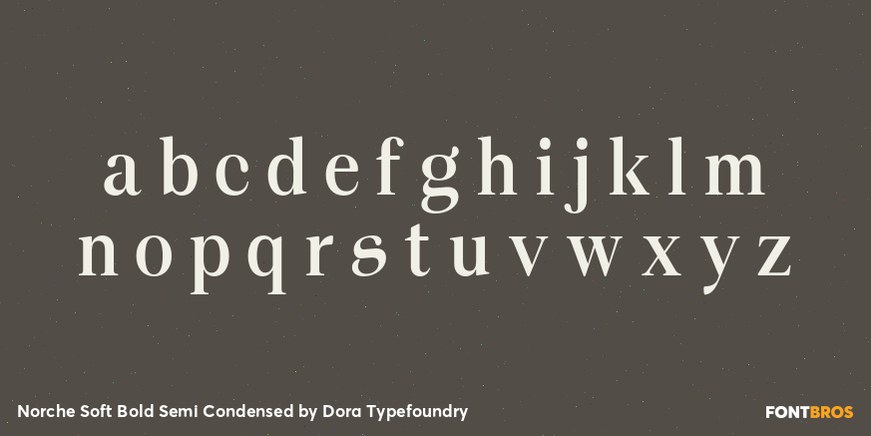 Norche Soft Bold Semi Condensed Font Poster #3