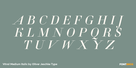 Vitral Medium Italic Thumbnail #2
