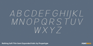 Rathing Soft Thin Semi Expanded Italic Thumbnail #2