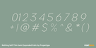 Rathing Soft Thin Semi Expanded Italic Thumbnail #4