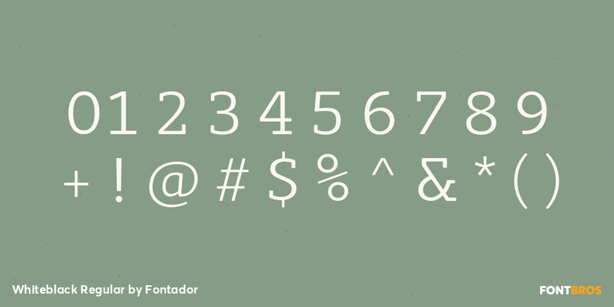Whiteblack Regular Font Poster #4