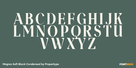 Magres Soft Black Condensed Thumbnail #2