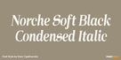 Norche Soft Black Condensed Italic Thumbnail #1