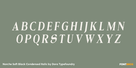 Norche Soft Black Condensed Italic Thumbnail #2