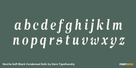Norche Soft Black Condensed Italic Thumbnail #3