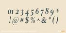 Norche Soft Black Condensed Italic Thumbnail #4