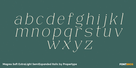 Magres Soft ExtraLight SemiExpanded Italic Thumbnail #3