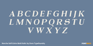 Norche Soft Extra Bold Italic Thumbnail #2