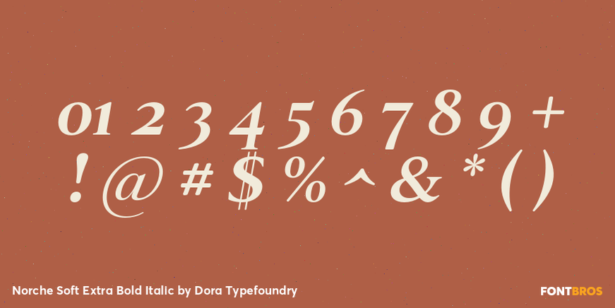 Norche Soft Extra Bold Italic Font Poster #4