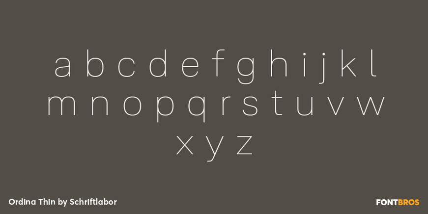 Ordina Thin Font Poster #3