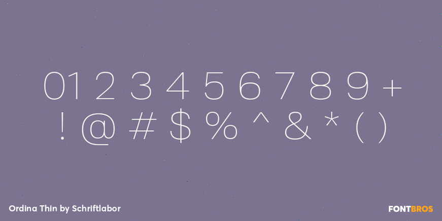 Ordina Thin Font Poster #4