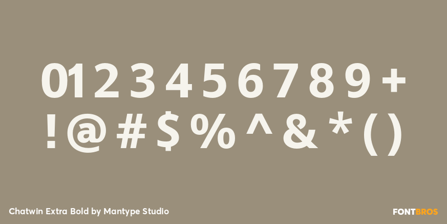 Chatwin Extra Bold Font Poster #4