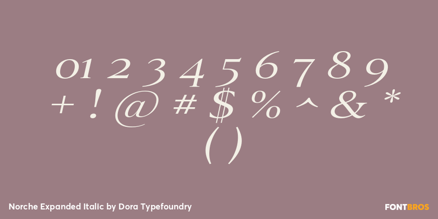 Norche Expanded Italic Font Poster #4